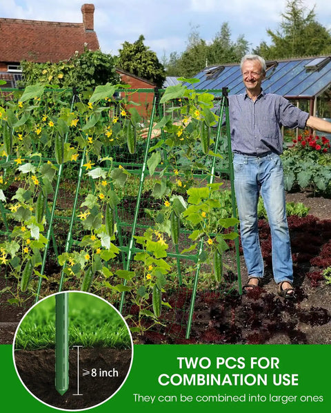 Two Pack A Frame Cucumber Trellis Garden Trellis For Climbing Plants Outdoor Raised Bed Plant Grow Support For Tomato Squash Vegetable And Flower 33 By 47 Inches Each in use with plants