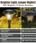 Image of Eight Pack Solar Pathway Lights with Color Changing Multicolor Glass illuminating a garden pathway at night.