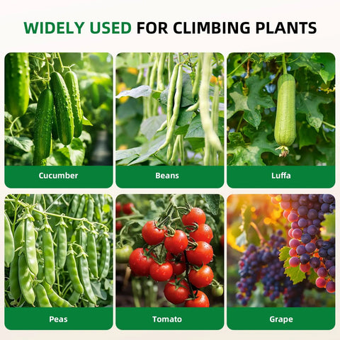 U Shape Cucumber Trellis For Raised Beds Garden Arch Metal Plant Support For Climbing Vines And Vegetables Durable Rustproof Outdoor Green No Fuss Easy Setup 47 By 30 By 47 Inches with images of cucumbers, beans, luffa, peas, tomatoes, and grapes