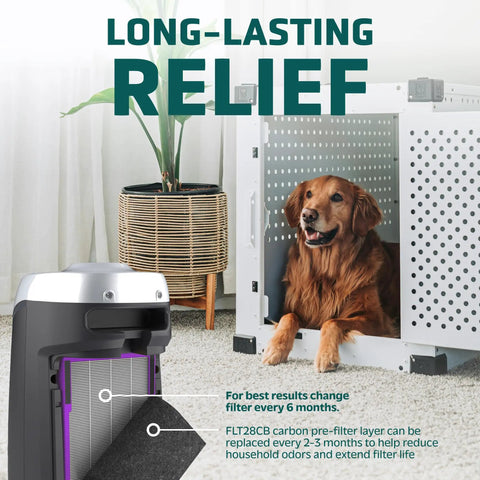 Room scene with air purifier and Pet Pure HEPA Replacement Filter Two Pack For AC Series Air Purifiers, capturing pet dander.