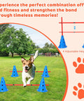 Dog Agility Cone Set With 12 Cones And 6 Adjustable Hurdles For Four Height Levels, dog jumping over hurdles outdoors