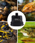 Low Water Level Drain Pump 243 GPH 26W Submersible with turtle, iguana, salamander, and frog in tanks.