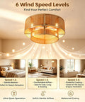 FUMLTP Boho Caged Ceiling Fans with Lights, Remote Control, Flush Mount in 6 wind speed levels illuminating a cozy room.