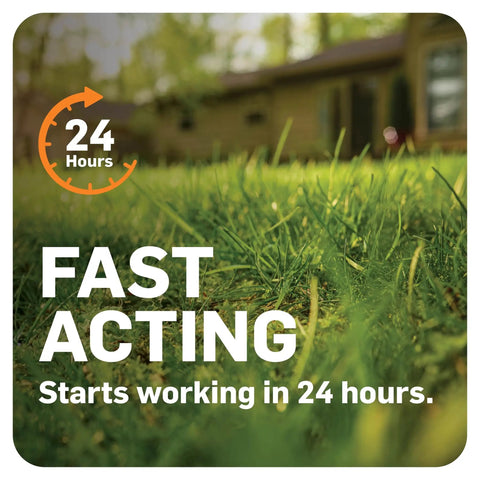 Awesome Lawn Fungicide For Disease Prevention And Control Keeps Your Grass In Check Against 26 Lawn Diseases Like Brown Patch And Pythium Blight Treats Up To 5000 Sq Ft In A 10 Lb Bag, fast acting text over grass.