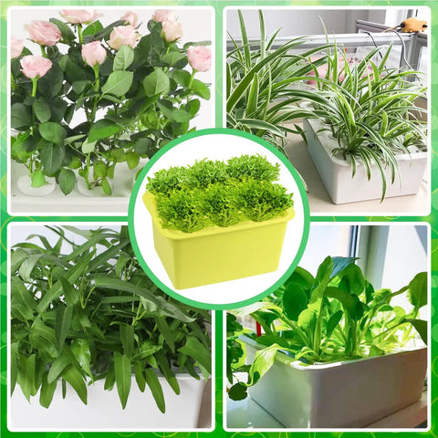 Indoor Hydroponics Grow Kit Self Watering System For Easy Home Garden DIY Plant Box with green leafy plants and flowers