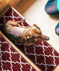Dog sitting on No Slip Stair Treads For Indoor Stairs Red 4 Pack Polypropylene Carpet Strips With Double Adhesive Tape Easy To Install Runner Rugs.