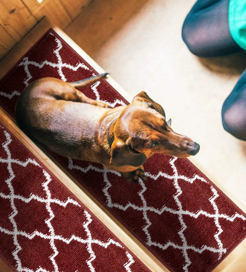 Dog sitting on No Slip Stair Treads For Indoor Stairs Red 4 Pack Polypropylene Carpet Strips With Double Adhesive Tape Easy To Install Runner Rugs.