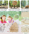 Large Viewing Ant Farm For Live Ants And Sand Habitat, showing children observing ant behavior and colony phases for educational learning.