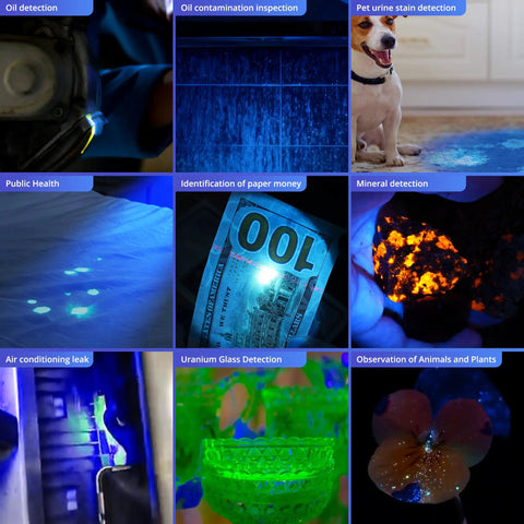 365Nm UV Black Light Mini Flashlight For Pet Urine Detection showcasing its uses for detecting stains, leaks, and scorpions.