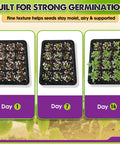 Ready To Use Seed Starting Soil Mix With Coco Coir, Perlite, Vermiculite, And Worm Castings, 8 Dry Quarts growth stages in trays