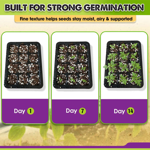 Ready To Use Seed Starting Soil Mix With Coco Coir, Perlite, Vermiculite, And Worm Castings, 8 Dry Quarts growth stages in trays