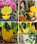 Zero Sweat 58 Pack Yellow Sticky Gnat Traps For Indoor Plants That Straight Out Knock Down Fungus Gnats And Sneaky Fruit Flies With Sweet Sunflower And Butterfly Adhesive Cards displayed with various plants.