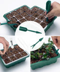 Seed Starter Tray With Full Spectrum Plant Lights For Seed Starting shown with tools, soil-filled cells, and emerging seedlings.