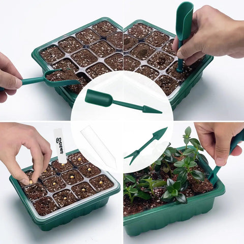Seed Starter Tray With Full Spectrum Plant Lights For Seed Starting shown with tools, soil-filled cells, and emerging seedlings.