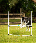 Dog agility jump bars set of four with adjustable heights and 36 inch wide spacing, in use by a dog outdoors