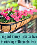 Four Pack Twenty Four Inch Black Metal Railing Planter Boxes With Natural Coco Fiber Liner And Heavy Duty Adjustable Clamps For Quick No Sweat Deck Fence Balcony Patio Garden with pink roses.
