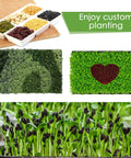 Six Pack Microgreens Growing Trays Kit With Twelve Hemp Fiber Grow Mats for Indoor Gardening with seeds and sprouts