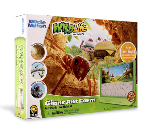 Box of large viewing ant farm for live ants, hands on STEM toy, DIY science kit, educational nature learning activity for kids, green