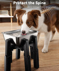 Pawfect Dog Water Dispenser Stand With A Massive 5 Liter Stainless Steel Bowl crafted for large breed dogs, heavy duty elevated design.