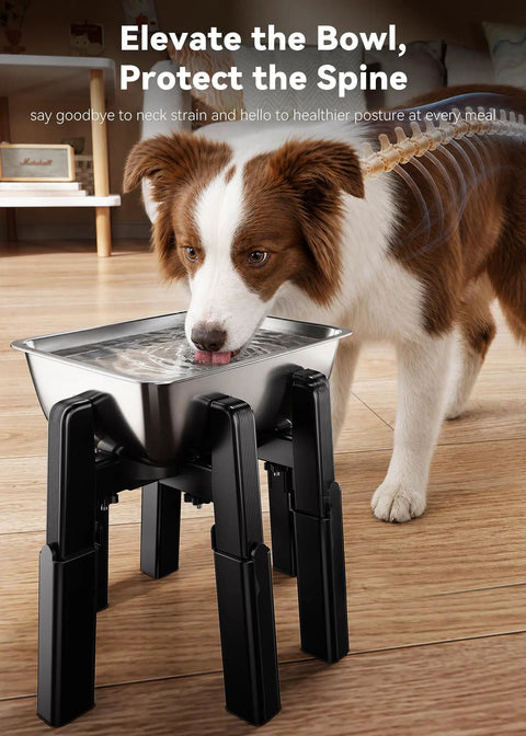 Pawfect Dog Water Dispenser Stand With A Massive 5 Liter Stainless Steel Bowl crafted for large breed dogs, heavy duty elevated design.