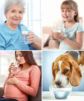 T1 Series RO Replacement Cartridge For T1 400UV And T1 400ALK Water Purification System shown used by various individuals and a dog.
