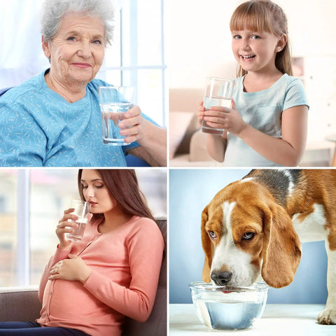 T1 Series RO Replacement Cartridge For T1 400UV And T1 400ALK Water Purification System shown used by various individuals and a dog.