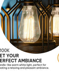 Close-up of Vintage Edison Style 60W Incandescent Light Bulbs with 2100K warm glow, decorative fixture, indoor ambiance