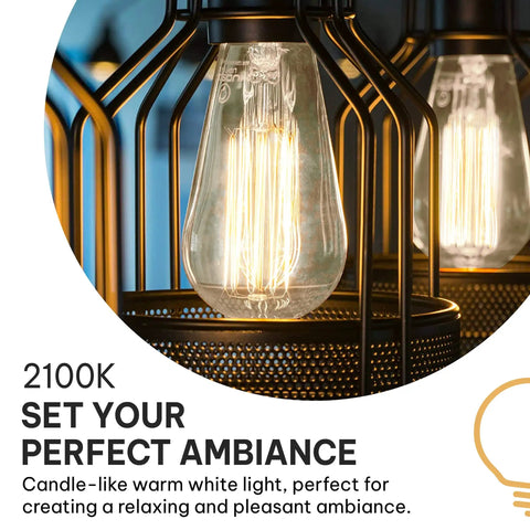 Close-up of Vintage Edison Style 60W Incandescent Light Bulbs with 2100K warm glow, decorative fixture, indoor ambiance