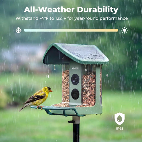 Solar Powered Smart Bird Feeder With Camera AI Species ID 8MP Photos And 4K Ultra HD Video Live Stream For Outdoors in rain