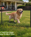 Heavy Duty Galvanized Welded Wire Fence Roll 24 By 50 Feet 2X4 Inch Steel Mesh for securing a happy dog in the yard.