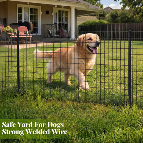 Heavy Duty Galvanized Welded Wire Fence Roll 24 By 50 Feet 2X4 Inch Steel Mesh for securing a happy dog in the yard.