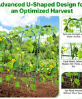 U Shaped Garden Trellis For Raised Beds Outdoor Climbing Plants with cucumbers, optimizing harvest with sunlight exposure