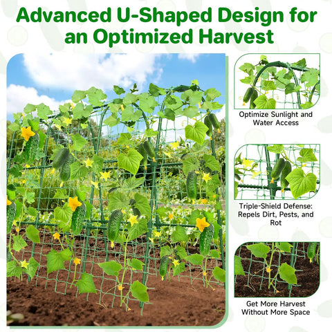 U Shaped Garden Trellis For Raised Beds Outdoor Climbing Plants with cucumbers, optimizing harvest with sunlight exposure