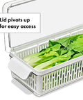 Produce Saver Bin With Adjustable Divider For Fresh Produce Storage In Fridge Medium White BPA Free Organizer holding greens