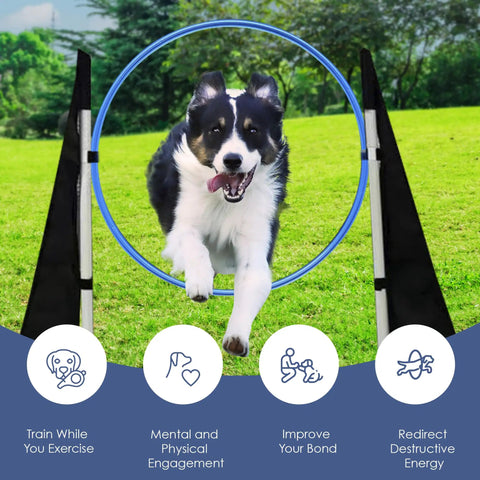Dog jumping through hoop, part of Complete Dog Agility Course Set For Backyard Training And Exercise With Tunnel, Weave Poles.