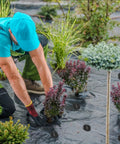 Gardener using 6 Inch Garden Stakes Kit With 100 Heavy Duty Staples, 100 Protective Gaskets, Pick Hook And Rubber Mallet