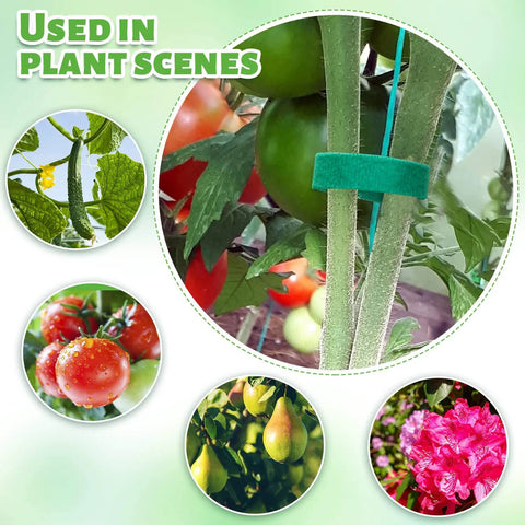 Various plants supported by Six Roll Green Plant Tape Set For Garden Support, Reusable Adjustable Twist Ties For Climbing Plants