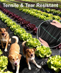 Heavy Duty Weed Barrier Landscape Fabric 4 Ft by 100 Ft 3.2 Oz Woven Geotextile Mat For Driveways and Gardening in use with dogs