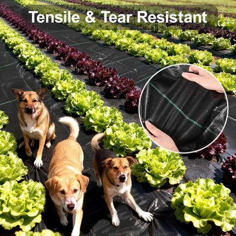 Heavy Duty Weed Barrier Landscape Fabric 4 Ft by 100 Ft 3.2 Oz Woven Geotextile Mat For Driveways and Gardening in use with dogs
