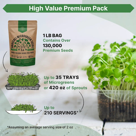 Broccoli Sprouting And Microgreens Seeds Kit 1 Lb Resealable Bag Non GMO Heirloom Sprout Seeds for Soil, Coconut Coir, Aerogarden, Hydroponics.