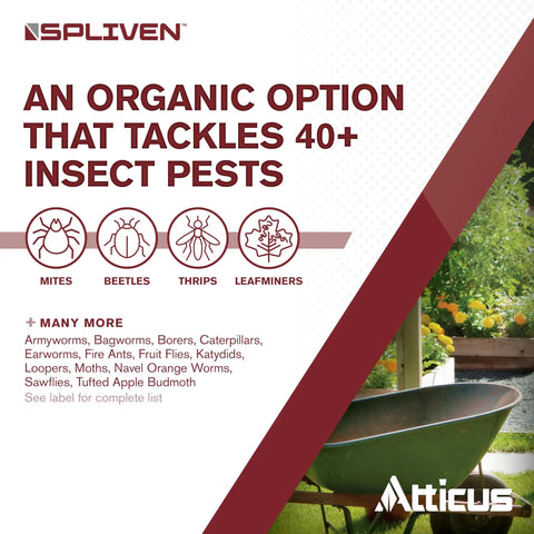 Product label for Organic Insecticide With Spinosad 0.5 Percent Concentrate 32 Oz Outdoor Insect Killer For Vegetable Gardens Lawns And Landscapes OMRI Listed For Organic Use Easy To Use Pest Power For Your Backyard And Garden showing pest types and garden scene.