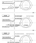Manchester Entry Door Lever With Lock Matte Black, Easy Install With Phillips Screwdriver template diagram