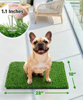 All Weather Artificial Turf For Dogs And Indoor Potty Training Replacement Grass Rug For Patio Balcony Lawn 18x28 Inch with dog