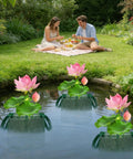 Lush garden pond with Mesh Net Planter For Ponds And Aquariums holding blooming lotus flowers, couple enjoying picnic nearby