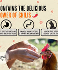 Hands feeding a chicken with Natural Chicken De-wormer Chili Mix for Healthy Flocks and Happy Eggs.