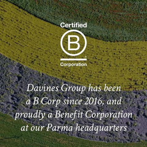 Aerial view of colorful fields with the 'Certified B Corporation' logo and text about Davines Group's certification.