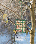 Outdoor Suet Bird Feeder Hanging Basket For Garden And Yard Attracts Woodpeckers Nuthatches And Songbirds With Easy Tree Trunk Mount Durable Suet Cake Feeder That Lets Birds Perch From All Sides And Stay Fed.