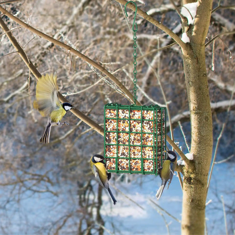 Outdoor Suet Bird Feeder Hanging Basket For Garden And Yard Attracts Woodpeckers Nuthatches And Songbirds With Easy Tree Trunk Mount Durable Suet Cake Feeder That Lets Birds Perch From All Sides And Stay Fed.