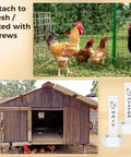 Slick 4 Pieces Hanging Auto Gravity Dispenser For Your Backyard Gang With Large Grit And Oyster Shell Compartments No Sweat Refills Coop Essentials Downright Convenient Poultry Gear with chickens and coop.