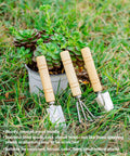 Mini Garden Tool Kit For Houseplants And Bonsai, 5Pcs Repotting Mats And Pruning Shears Set with wood handle tools in grass